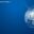 PT Hensel Davest Indonesia Tbk. Logo
